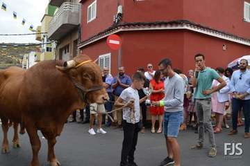 Misa, desfile del ganado y procesión religiosa en el Valle de los Nueve de Telde (Foto Francisco Javier Santana)